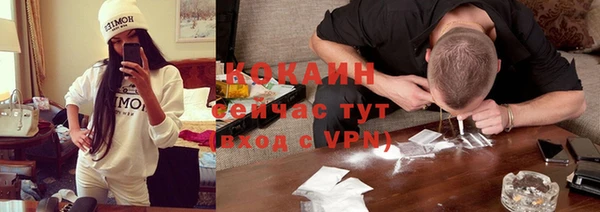 ПСИЛОЦИБИНОВЫЕ ГРИБЫ Карпинск