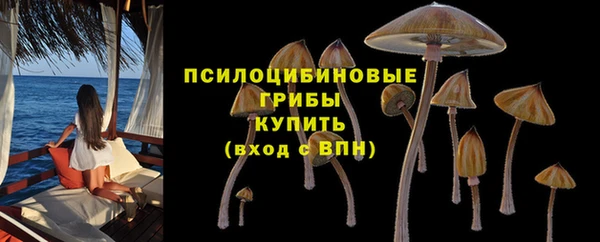MDMA Карталы